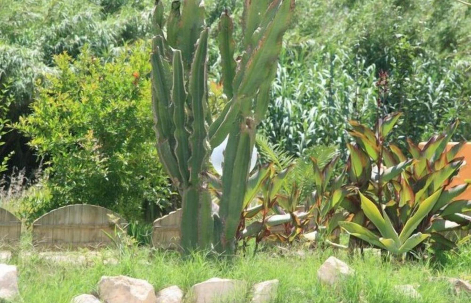 Villa El Minero Gonnesa Exterior foto